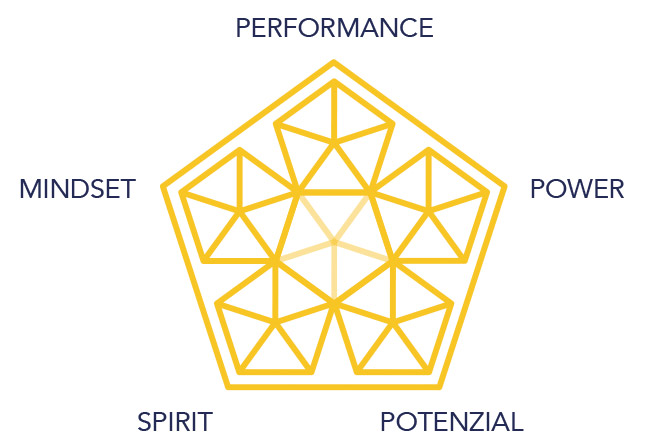 5 Bausteine für Erfolg: Performance + Power + Potenzial + Spirit + Mindset